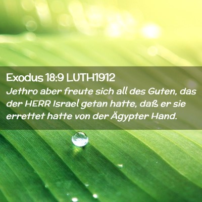 Picture 02 - Exodus 18:9 LUTH1912 - Jethro aber freute sich all des Guten, das der - Bible Verse Picture