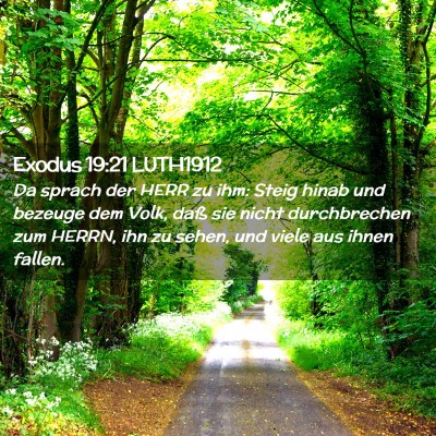 Picture 02 - Exodus 19:21 LUTH1912 - Da sprach der HERR zu ihm: Steig hinab und - Bible Verse Picture
