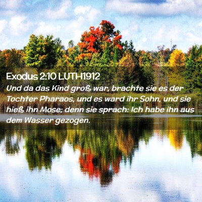 Picture 02 - Exodus 2:10 LUTH1912 - Und da das Kind groß war, brachte sie es der - Bible Verse Picture