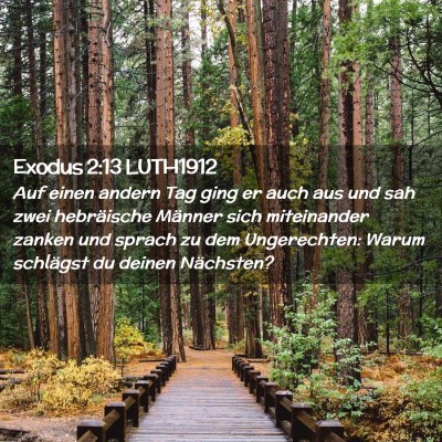 Picture 02 - Exodus 2:13 LUTH1912 - Auf einen andern Tag ging er auch aus und sah - Bible Verse Picture