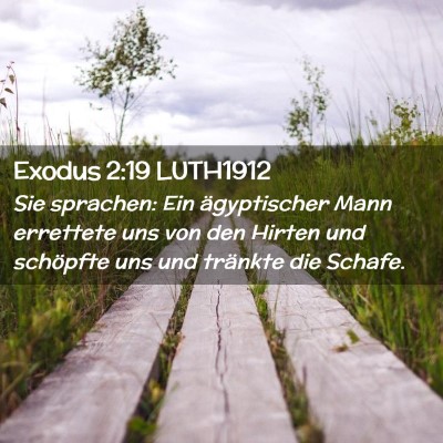 Picture 02 - Exodus 2:19 LUTH1912 - Sie sprachen: Ein ägyptischer Mann errettete uns - Bible Verse Picture