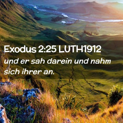 Picture 02 - Exodus 2:25 LUTH1912 - und er sah darein und nahm sich ihrer - Bible Verse Picture