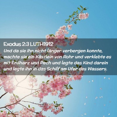 Picture 02 - Exodus 2:3 LUTH1912 - Und da sie ihn nicht länger verbergen konnte, - Bible Verse Picture