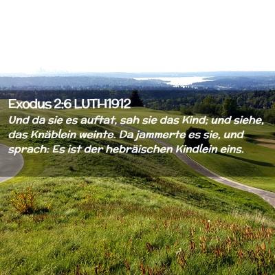 Picture 02 - Exodus 2:6 LUTH1912 - Und da sie es auftat, sah sie das Kind; und - Bible Verse Picture