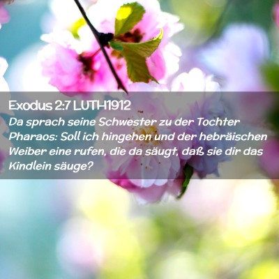 Picture 02 - Exodus 2:7 LUTH1912 - Da sprach seine Schwester zu der Tochter Pharaos: - Bible Verse Picture