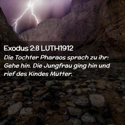 Picture 02 - Exodus 2:8 LUTH1912 - Die Tochter Pharaos sprach zu ihr: Gehe hin. Die - Bible Verse Picture