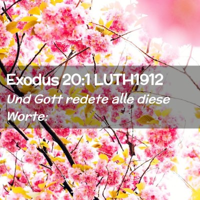 Picture 02 - Exodus 20:1 LUTH1912 - Und Gott redete alle diese - Bible Verse Picture