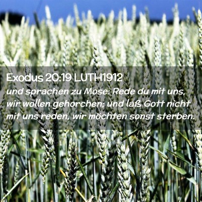 Picture 02 - Exodus 20:19 LUTH1912 - und sprachen zu Mose: Rede du mit uns, wir wollen - Bible Verse Picture