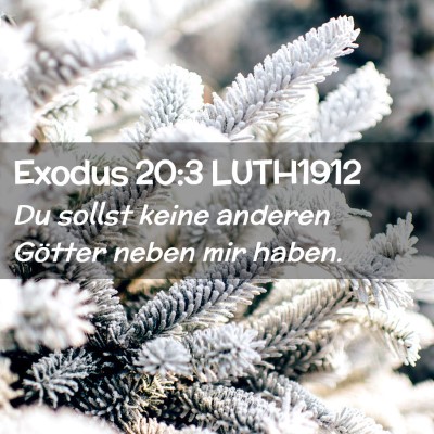 Picture 02 - Exodus 20:3 LUTH1912 - Du sollst keine anderen Götter neben mir - Bible Verse Picture