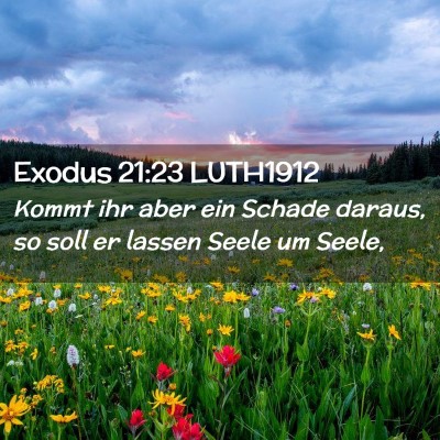 Picture 02 - Exodus 21:23 LUTH1912 - Kommt ihr aber ein Schade daraus, so soll er - Bible Verse Picture