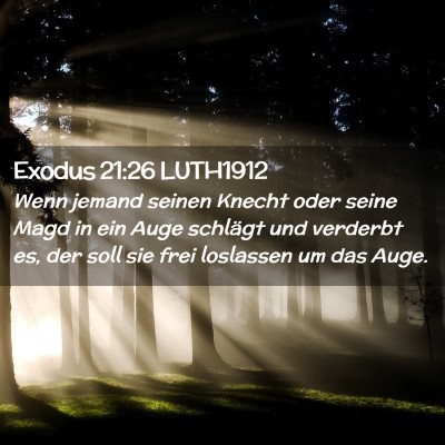 Picture 02 - Exodus 21:26 LUTH1912 - Wenn jemand seinen Knecht oder seine Magd in ein - Bible Verse Picture