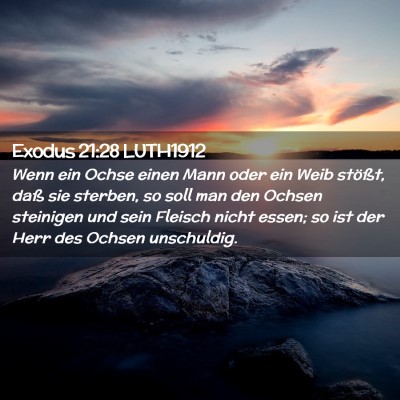 Picture 02 - Exodus 21:28 LUTH1912 - Wenn ein Ochse einen Mann oder ein Weib stößt, - Bible Verse Picture
