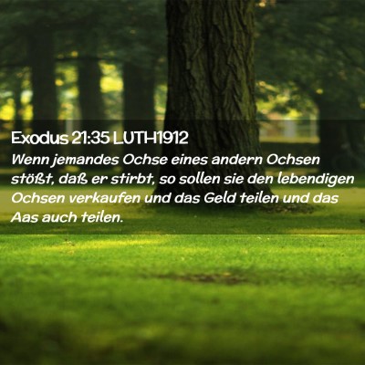 Picture 02 - Exodus 21:35 LUTH1912 - Wenn jemandes Ochse eines andern Ochsen stößt, - Bible Verse Picture