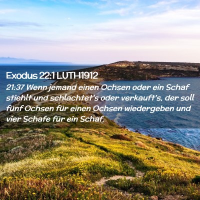 Picture 02 - Exodus 22:1 LUTH1912 - 21:37 Wenn jemand einen Ochsen oder ein Schaf - Bible Verse Picture