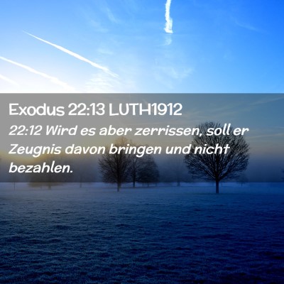 Picture 02 - Exodus 22:13 LUTH1912 - 22:12 Wird es aber zerrissen, soll er Zeugnis - Bible Verse Picture