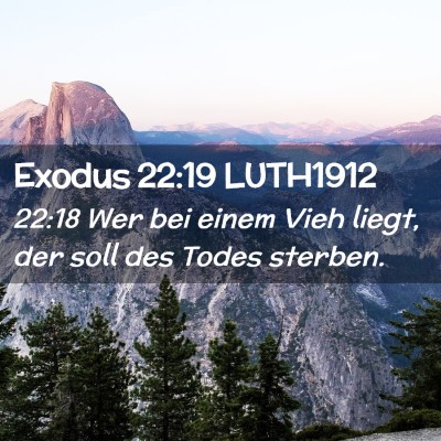 Picture 02 - Exodus 22:19 LUTH1912 - 22:18 Wer bei einem Vieh liegt, der soll des - Bible Verse Picture