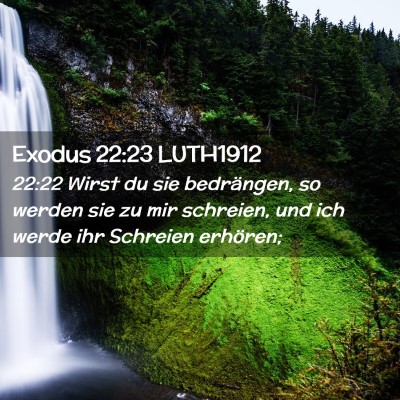 Picture 02 - Exodus 22:23 LUTH1912 - 22:22 Wirst du sie bedrängen, so werden sie zu - Bible Verse Picture