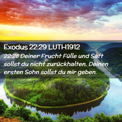 Picture 02 - Exodus 22:29 LUTH1912 - 22:28 Deiner Frucht Fülle und Saft sollst du - Bible Verse Picture