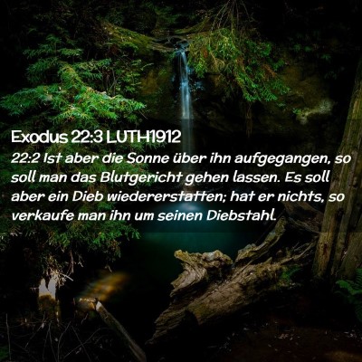 Picture 02 - Exodus 22:3 LUTH1912 - 22:2 Ist aber die Sonne über ihn aufgegangen, so - Bible Verse Picture