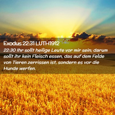 Picture 02 - Exodus 22:31 LUTH1912 - 22:30 Ihr sollt heilige Leute vor mir sein; darum - Bible Verse Picture