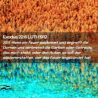 Picture 02 - Exodus 22:6 LUTH1912 - 22:5 Wenn ein Feuer auskommt und ergreift die - Bible Verse Picture