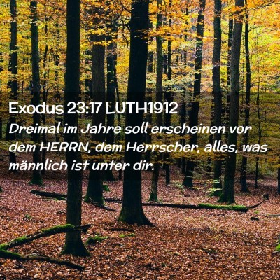 Picture 02 - Exodus 23:17 LUTH1912 - Dreimal im Jahre soll erscheinen vor dem HERRN, - Bible Verse Picture