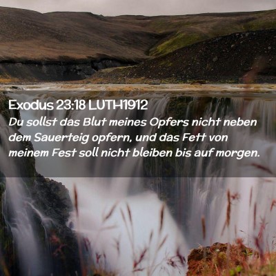 Picture 02 - Exodus 23:18 LUTH1912 - Du sollst das Blut meines Opfers nicht neben dem - Bible Verse Picture
