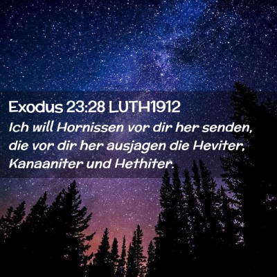 Picture 02 - Exodus 23:28 LUTH1912 - Ich will Hornissen vor dir her senden, die vor - Bible Verse Picture