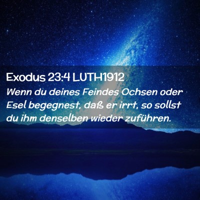 Picture 02 - Exodus 23:4 LUTH1912 - Wenn du deines Feindes Ochsen oder Esel - Bible Verse Picture