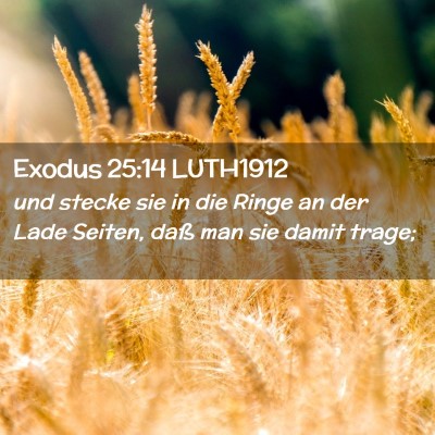 Picture 02 - Exodus 25:14 LUTH1912 - und stecke sie in die Ringe an der Lade Seiten, - Bible Verse Picture