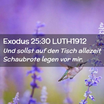Picture 02 - Exodus 25:30 LUTH1912 - Und sollst auf den Tisch allezeit Schaubrote - Bible Verse Picture