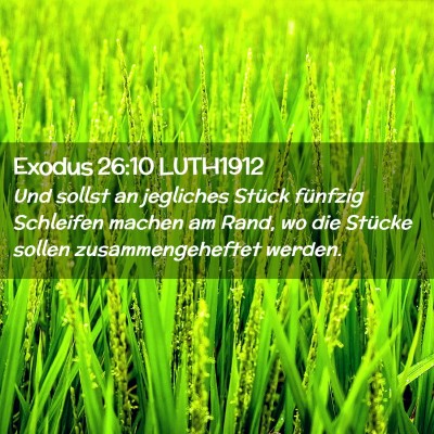 Picture 02 - Exodus 26:10 LUTH1912 - Und sollst an jegliches Stück fünfzig Schleifen - Bible Verse Picture