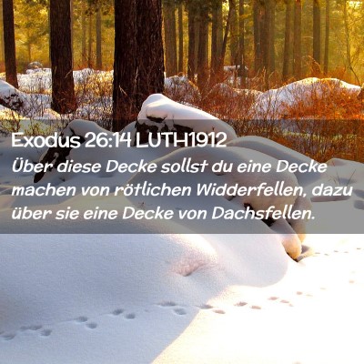 Picture 02 - Exodus 26:14 LUTH1912 - Über diese Decke sollst du eine Decke machen von - Bible Verse Picture