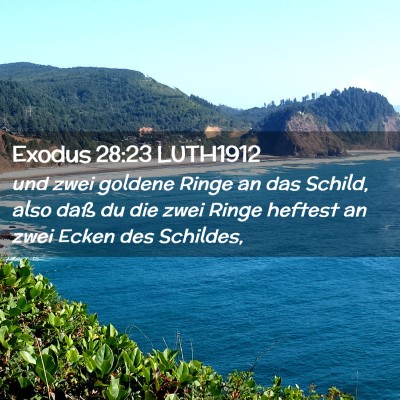 Picture 02 - Exodus 28:23 LUTH1912 - und zwei goldene Ringe an das Schild, also daß - Bible Verse Picture