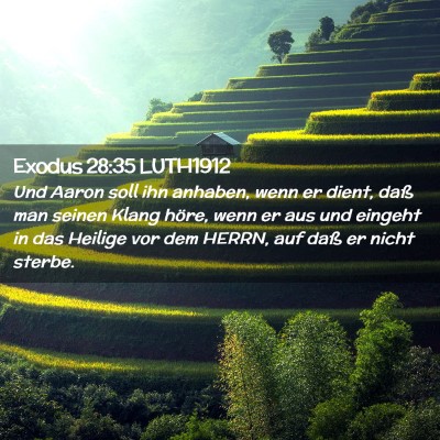 Picture 02 - Exodus 28:35 LUTH1912 - Und Aaron soll ihn anhaben, wenn er dient, daß - Bible Verse Picture