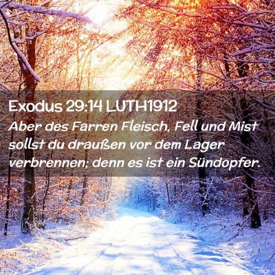 Picture 02 - Exodus 29:14 LUTH1912 - Aber des Farren Fleisch, Fell und Mist sollst du - Bible Verse Picture