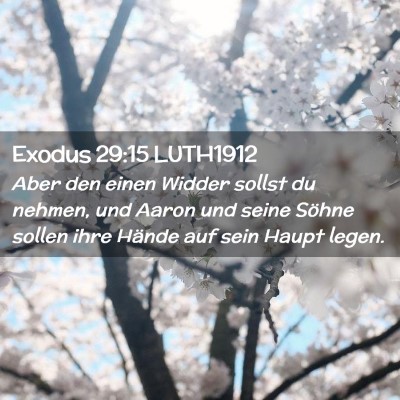 Picture 02 - Exodus 29:15 LUTH1912 - Aber den einen Widder sollst du nehmen, und Aaron - Bible Verse Picture