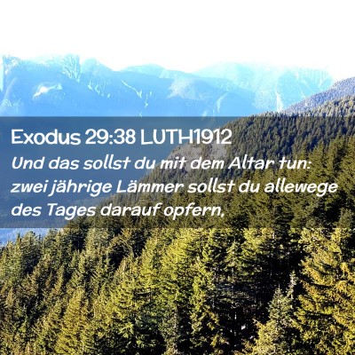 Picture 02 - Exodus 29:38 LUTH1912 - Und das sollst du mit dem Altar tun: zwei - Bible Verse Picture