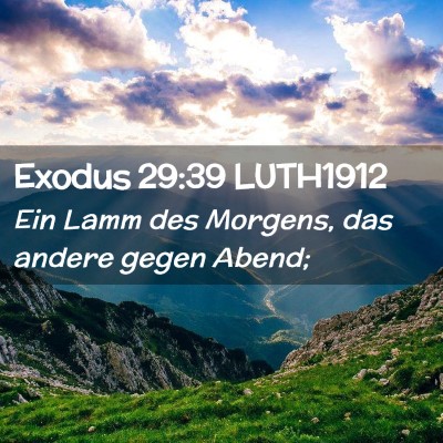 Picture 02 - Exodus 29:39 LUTH1912 - Ein Lamm des Morgens, das andere gegen - Bible Verse Picture