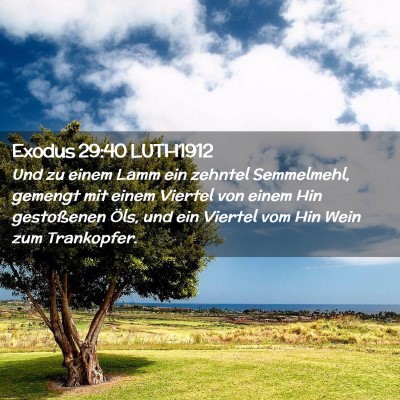 Picture 02 - Exodus 29:40 LUTH1912 - Und zu einem Lamm ein zehntel Semmelmehl, gemengt - Bible Verse Picture