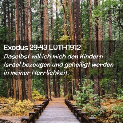 Picture 02 - Exodus 29:43 LUTH1912 - Daselbst will ich mich den Kindern Israel - Bible Verse Picture