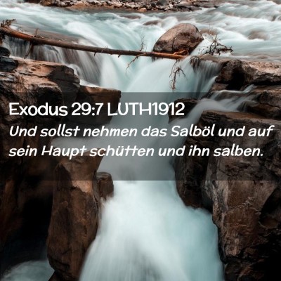 Picture 02 - Exodus 29:7 LUTH1912 - Und sollst nehmen das Salböl und auf sein Haupt - Bible Verse Picture