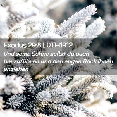 Picture 02 - Exodus 29:8 LUTH1912 - Und seine Söhne sollst du auch herzuführen und - Bible Verse Picture