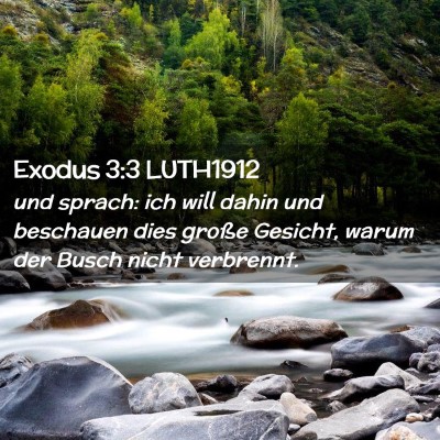 Picture 02 - Exodus 3:3 LUTH1912 - und sprach: ich will dahin und beschauen dies - Bible Verse Picture