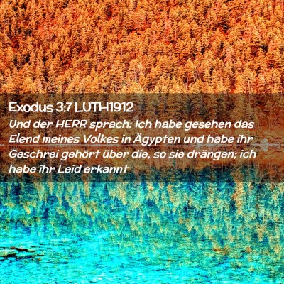 Picture 02 - Exodus 3:7 LUTH1912 - Und der HERR sprach: Ich habe gesehen das Elend - Bible Verse Picture