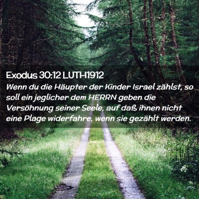 Picture 02 - Exodus 30:12 LUTH1912 - Wenn du die Häupter der Kinder Israel zählst, - Bible Verse Picture