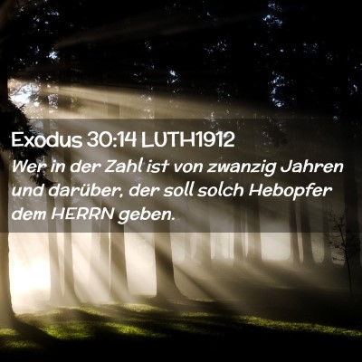 Picture 02 - Exodus 30:14 LUTH1912 - Wer in der Zahl ist von zwanzig Jahren und - Bible Verse Picture