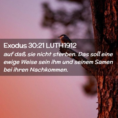 Picture 02 - Exodus 30:21 LUTH1912 - auf daß sie nicht sterben. Das soll eine ewige - Bible Verse Picture