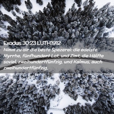 Picture 02 - Exodus 30:23 LUTH1912 - Nimm zu dir die beste Spezerei: die edelste - Bible Verse Picture