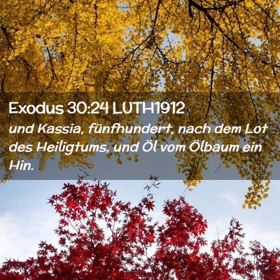 Picture 02 - Exodus 30:24 LUTH1912 - und Kassia, fünfhundert, nach dem Lot des - Bible Verse Picture
